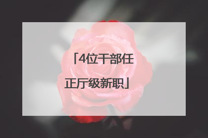 4位干部任正厅级新职