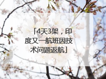 4天3架，印度又一航班因技术问题返航
