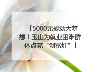 5000元撬动大梦想！玉山为就业困难群体点亮“创富灯”