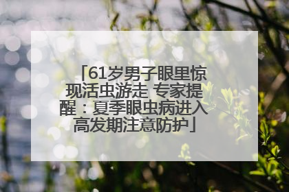 61岁男子眼里惊现活虫游走 专家提醒：夏季眼虫病进入高发期注意防护