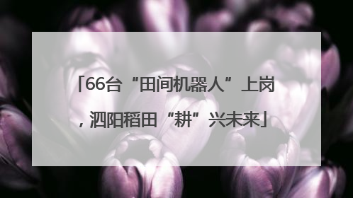 66台“田间机器人”上岗，泗阳稻田“耕”兴未来