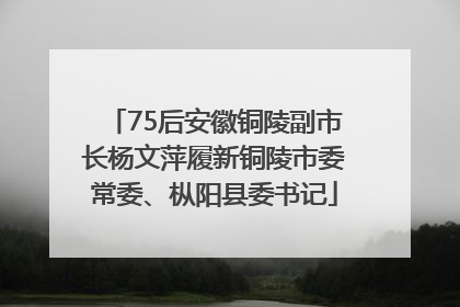 75后安徽铜陵副市长杨文萍履新铜陵市委常委、枞阳县委书记