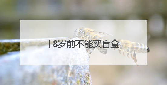 8岁前不能买盲盒！这场检察开放日点燃少年法治梦