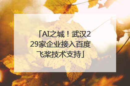 AI之城！武汉229家企业接入百度飞桨技术支持