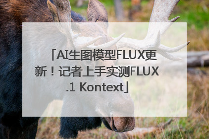 AI生图模型FLUX更新！记者上手实测FLUX.1 Kontext
