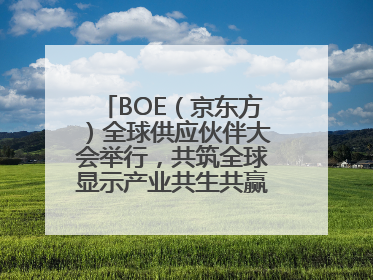 BOE（京东方）全球供应伙伴大会举行，共筑全球显示产业共生共赢新格局