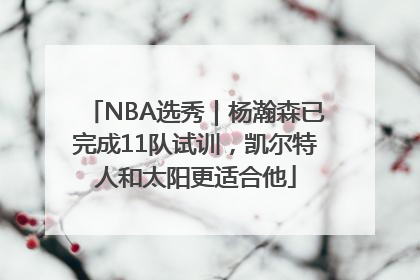 NBA选秀｜杨瀚森已完成11队试训，凯尔特人和太阳更适合他
