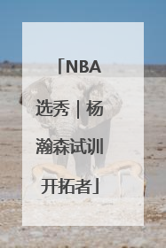 NBA选秀｜杨瀚森试训开拓者