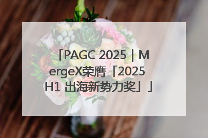 PAGC 2025｜MergeX荣膺「2025 H1 出海新势力奖」