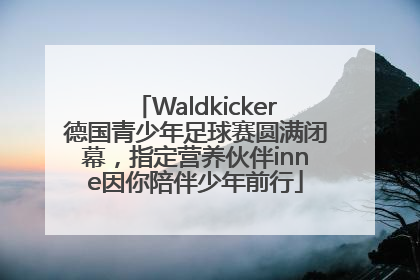 Waldkicker德国青少年足球赛圆满闭幕，指定营养伙伴inne因你陪伴少年前行